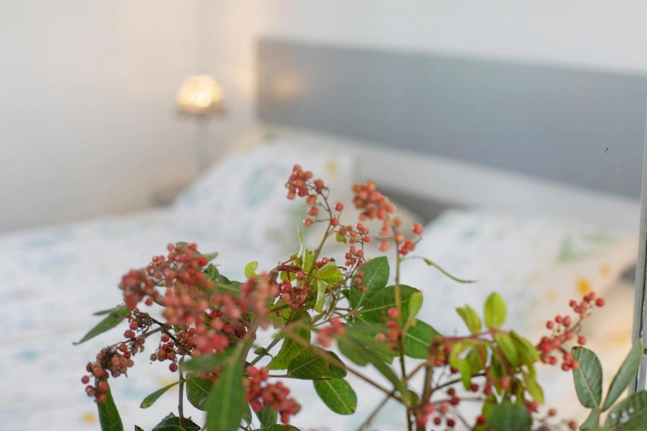 Jardin Del Sol 2 Apartment ปลายาบลังกา ภายนอก รูปภาพ